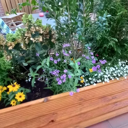 Kriemhild Apartament Xanten