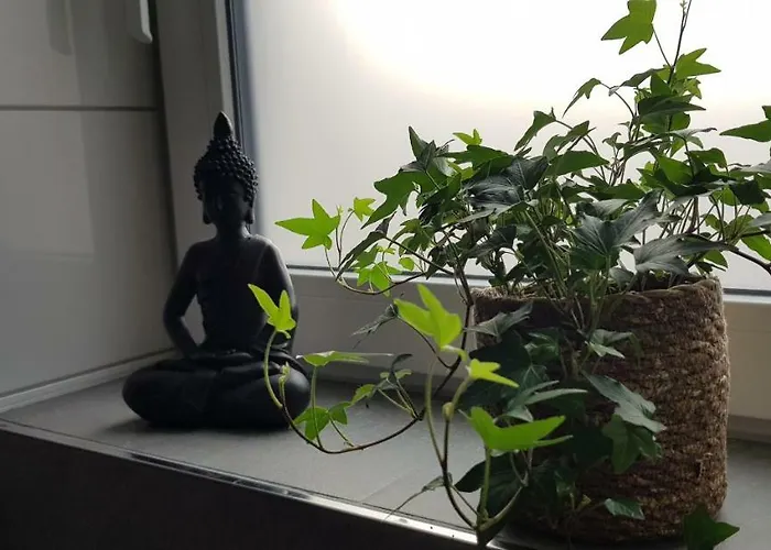 Apartament Kriemhild *